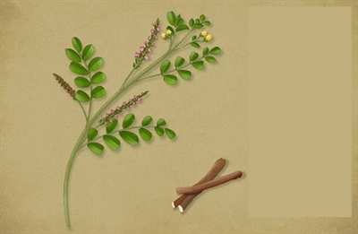 Footsteps of spring.jpg